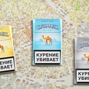 Акция сигарет «Camel» (Кэмел) «Гид по мегаполисам»