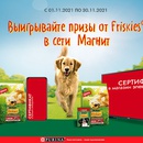 Акция  «Friskies» (Фрискис) «Счастье приходит с собакой, а призы с Friskies»